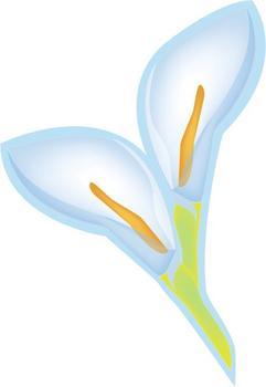 <a href='/product/product-0001,0002.shtml' class='keys' title='點擊查看關(guān)于不干膠印刷機(jī)的相關(guān)信息' target='_blank'>不干膠印刷機(jī)</a>